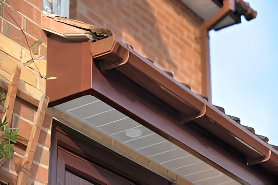 Gutter cleaning close-up